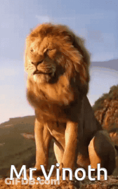 A Picture Of A Lion With The Name Mr. Vinoth On It GIF