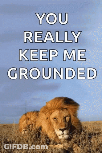 A Picture Of A Lion With The Words You Really Keep Me Grounded Above It GIF