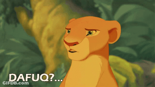 A Picture Of A Lioness With The Words Dafuq On The Bottom Right GIF