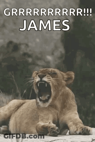 A Picture Of A Lioness Yawning With The Name James Written Below It GIF