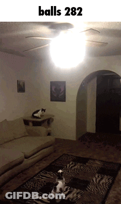 A Picture Of A Living Room With A Ceiling Fan And The Words Balls 282 GIF