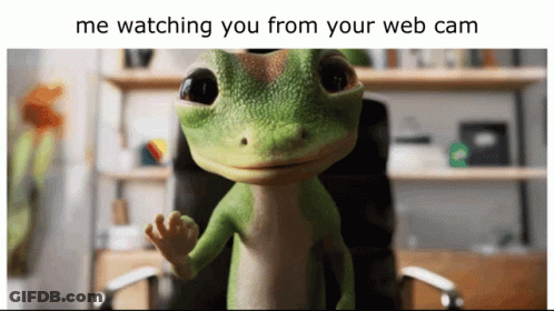 A Picture Of A Lizard With The Caption " Me Watching You From Your Webcam " GIF