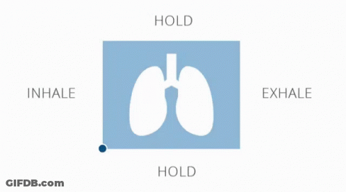 A Picture Of A Lung With The Words Hold Inhale Exhale GIF
