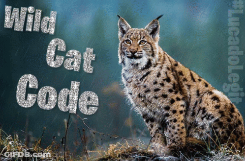 A Picture Of A Lynx With The Words Wild Cat Code Written Above It GIF