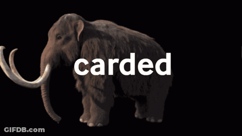 A Picture Of A Mammoth With The Word Carded Behind It GIF