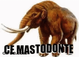 A Picture Of A Mammoth With The Words Ce Mastodonte Written Below It GIF