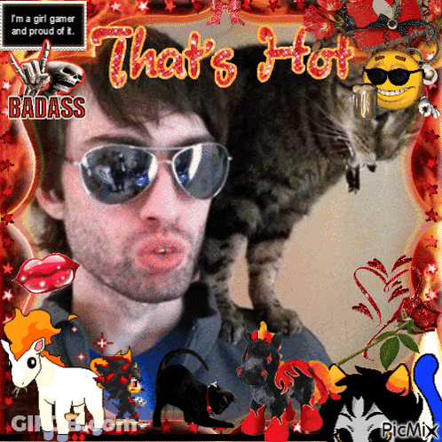 A Picture Of A Man And A Cat That Says That 'S Hot GIF