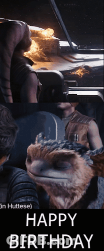 Man And Cat Happy Birthday GIF