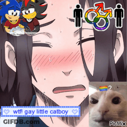A Picture Of A Man And A Cat With The Words WTF Gay Little Catboy At The Bottom GIF