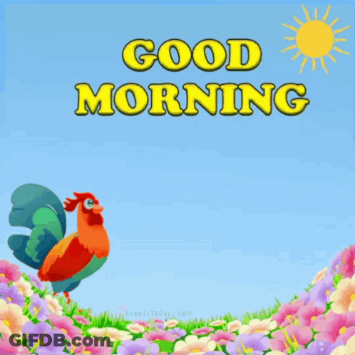 A Picture Of A Man And A Rooster Says Good Morning Forhad GIF