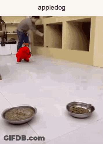 A Picture Of A Man And A Stuffed Animal That Says Appledog On It GIF