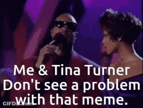 A Picture Of A Man And A Woman With The Caption " Me & Tina Turner Don 'T See A Problem With That Meme " . GIF