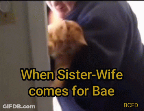 A Picture Of A Man Holding A Cat With The Caption When Sister Wife Comes For Bae GIF