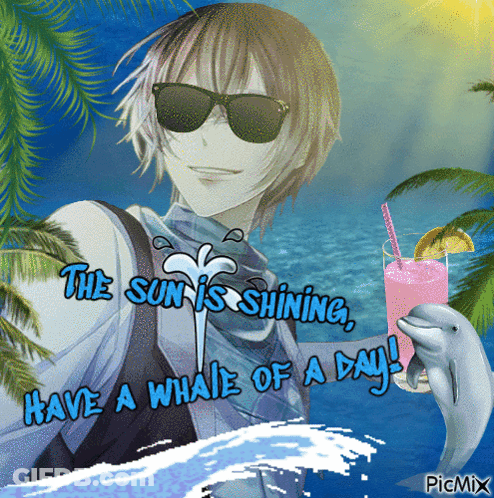 A Picture Of A Man Holding A Dolphin And A Drink That Says The Sun Is Shining GIF