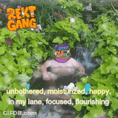 A Picture Of A Man In A Pond With The Words Rext Gang On The Top GIF