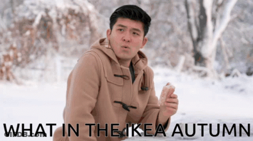 A Picture Of A Man In The Snow With The Words What In The Ikea Autumn On The Bottom GIF