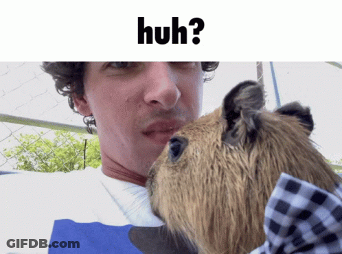 A Picture Of A Man Kissing A Guinea Pig With The Words Huh On The Bottom GIF