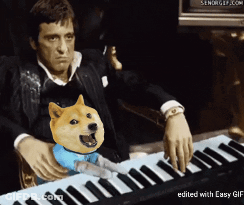 A Picture Of A Man Playing A Piano With A Dog On His Lap GIF