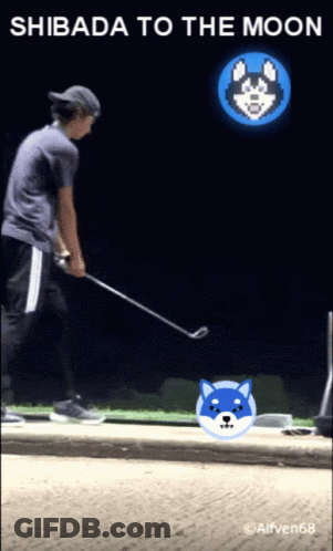 A Picture Of A Man Playing Golf With The Words Shibada To The Moon Below Him GIF