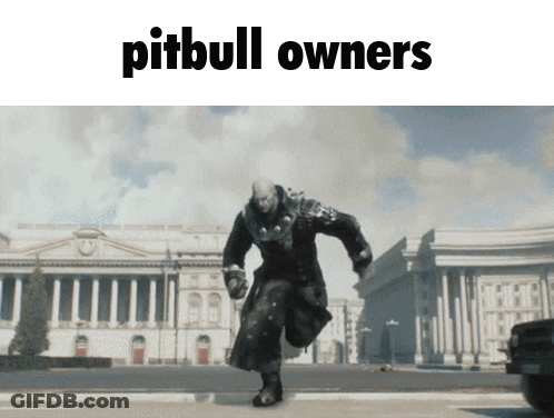A Picture Of A Man Running Down A Street With The Words Pitbull Owners Below Him GIF