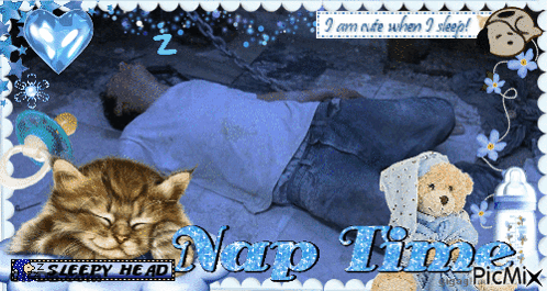 Man Sleeping Next To Cat And Teddy Bear Nap Time GIF