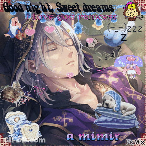 A Picture Of A Man Sleeping With The Words Good Night Sweet Dreams I Love You Princess On It GIF