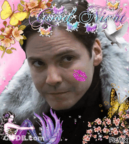 A Picture Of A Man Surrounded By Flowers And Butterflies With The Words Good Night Written Above Him GIF
