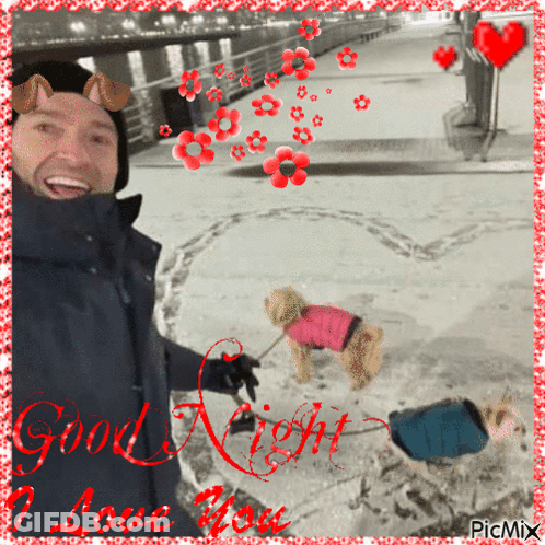A Picture Of A Man Walking Two Dogs With The Words Good Night I Love You GIF