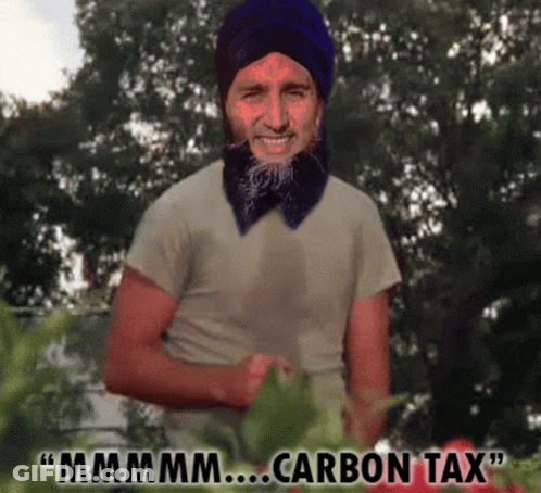 A Picture Of A Man With A Beard And A Turban Says " Mmmm Carbon Tax " GIF