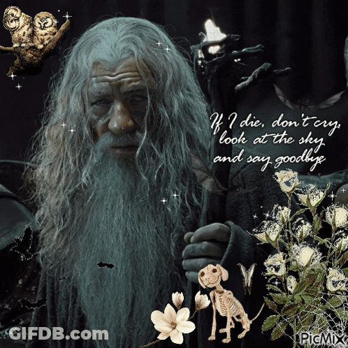 A Picture Of A Man With A Beard And The Words If I Die Don T Cry GIF