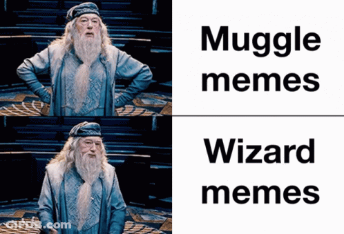 A Picture Of A Man With A Beard And The Words Muggle Memes And Wizard Memes On The Bottom GIF