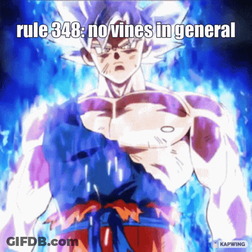 A Picture Of A Man With A Caption That Says Rule 348 No Vines In General GIF
