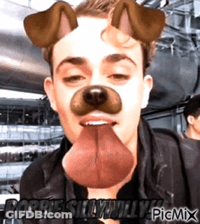 A Picture Of A Man With A Dog Mask On His Face With The Caption Robbie Silly Willy GIF