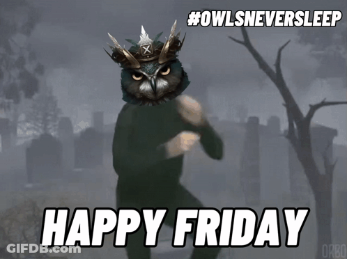 A Picture Of A Man With An Owl On His Head And The Caption Happy Friday GIF