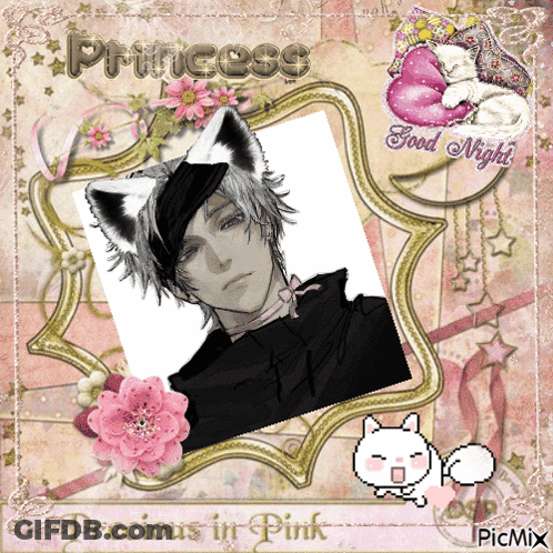 A Picture Of A Man With Cat Ears And The Words " Princess " On Top GIF