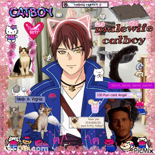 A Picture Of A Man With Cat Ears Is Surrounded By Cats And The Words Catboy Malewife Catboy GIF