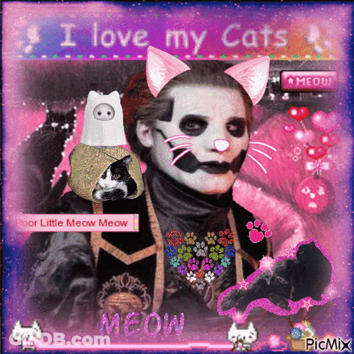 A Picture Of A Man With Cat Ears That Says I Love My Cats On It GIF