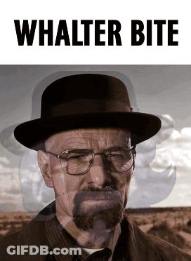 A Picture Of A Man With Glasses And A Hat With The Words Walter Bite Below Him GIF