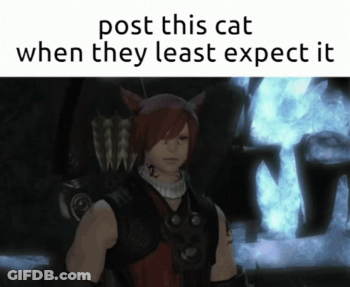 A Picture Of A Man With Red Hair And The Words Post This Cat When They Least Expect It On The Bottom GIF