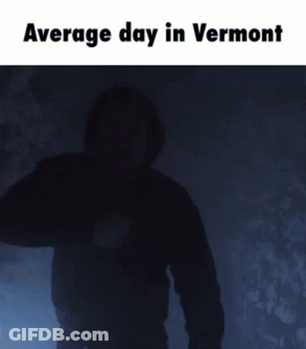 A Picture Of A Man With The Words Average Day In Vermont GIF
