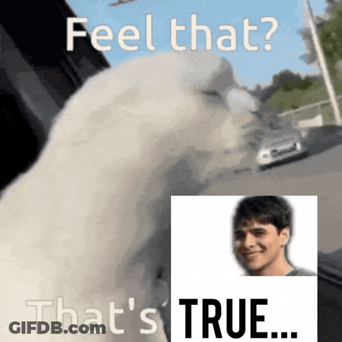 A Picture Of A Man With The Words Feel That That 'S True GIF