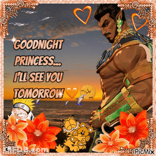 A Picture Of A Man With The Words Goodnight Princess I 'Ll See You Tomorrow On It GIF