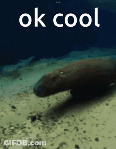A Picture Of A Manatee In The Ocean With The Words Ok Cool Above It GIF