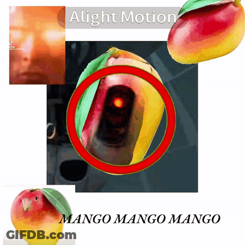 A Picture Of A Mango With A Red Circle Around It And The Words Alight Motion GIF