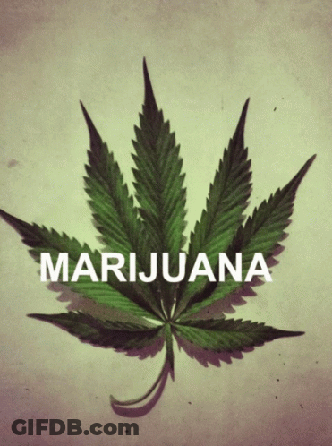 A Picture Of A Marijuana Leaf With The Word Marijuana Below It GIF