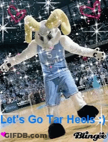 A Picture Of A Mascot On A Basketball Court With The Words Let 'S Go Tar Heels GIF