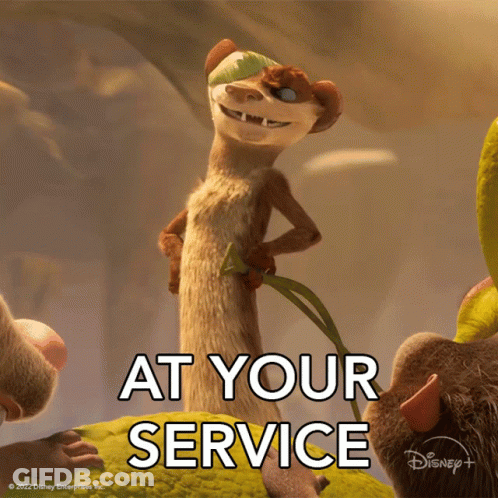 A Picture Of A Meerkat With The Words At Your Service On It GIF