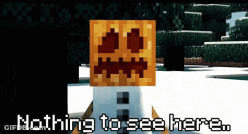 A Picture Of A Minecraft Character With The Words Nothing To See Here Below It GIF