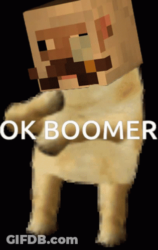 A Picture Of A Minecraft Character With The Words Ok Boomer Above It GIF