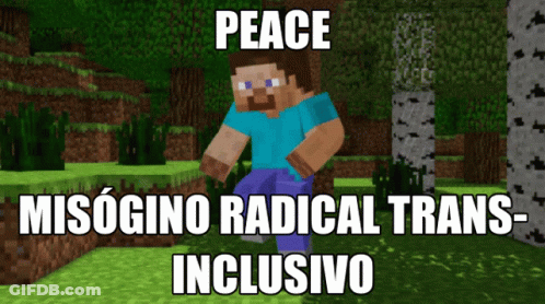 A Picture Of A Minecraft Character With The Words Peace Misogino Radical Trans Inclusive GIF